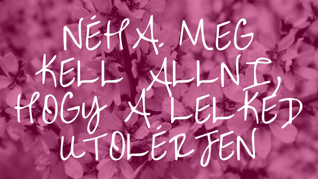 A megállás művészete